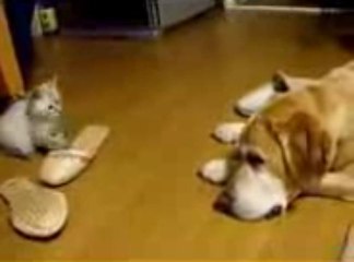 고품격바카라 ＪＡ１１００.ＣＯＭ 고품격바카라