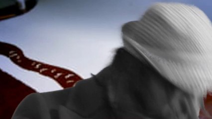 Cannabis Sativa and the Mechanical Galaxy - Runs With Ponies (But I'm A Horse) (Official Video)