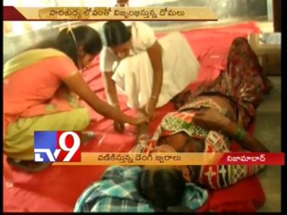 Dengue cases rise in Nizamabad