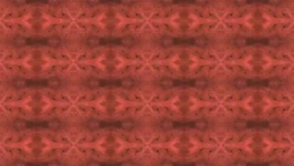 First's Highlights from November 19, 2013, 4:47 PM