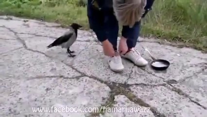 Hahahahha Very Funny Video