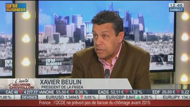 Xavier Beulin, FNSEA, dans l'invité de BFM Business 19/11