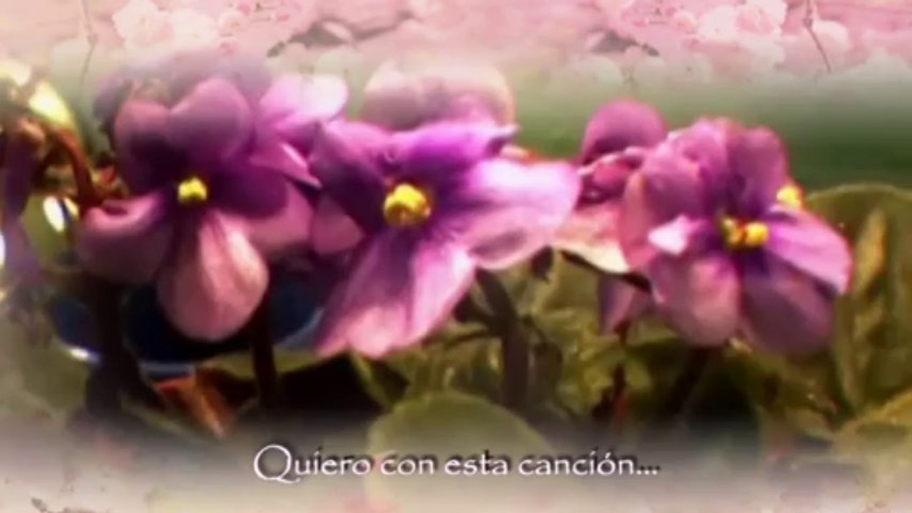 El mismo cielo Marcela Gandara