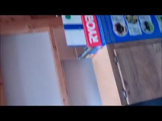 Orlando Home Inspection Roof Support Shed Addition