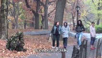 L'homme-Buisson piège les passants à Central Park - New York