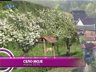 Navigator, 22. novembar 2013.