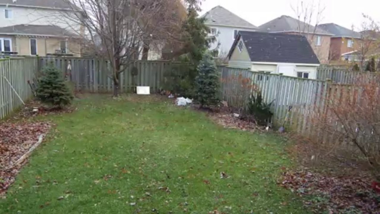FIRST SNOWFALL
