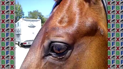 Valentina e LIS agosto 2013