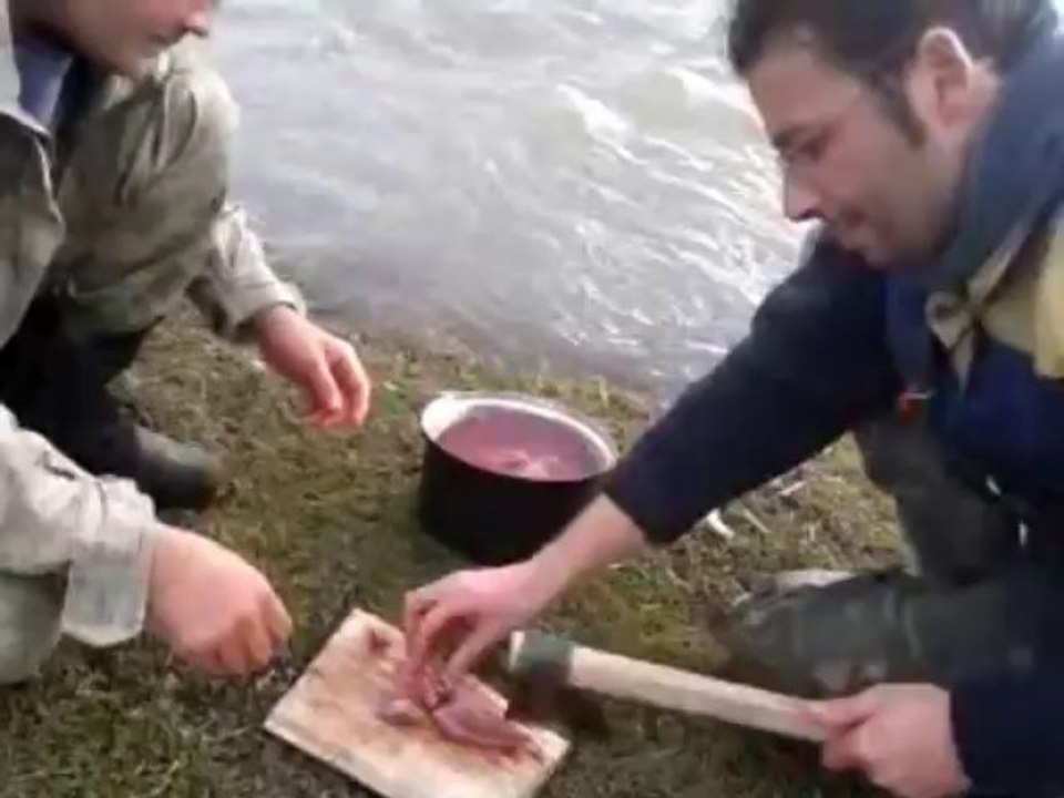 akcay 2013 düzenli-1