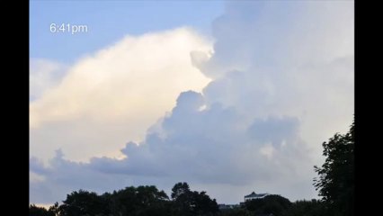 Howard Davidson Arlington MA - videos