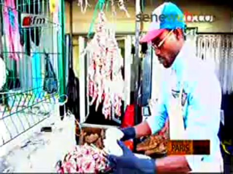 Special Paris A la Decouverte D'un immigres Senegalais Kaporal Vendeur de Dibi