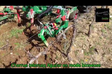CHARRUE AGUILAR DE BERNARDONI EN MODE BINNAGE