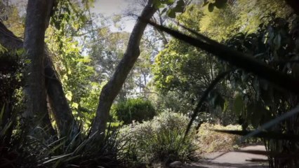 Marcos' Impromptu Surgery | Stories