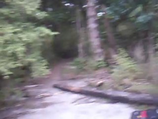 Kepler, jour 3. Un peu avant l'arrivée au hut, au bord de lac Manapouri