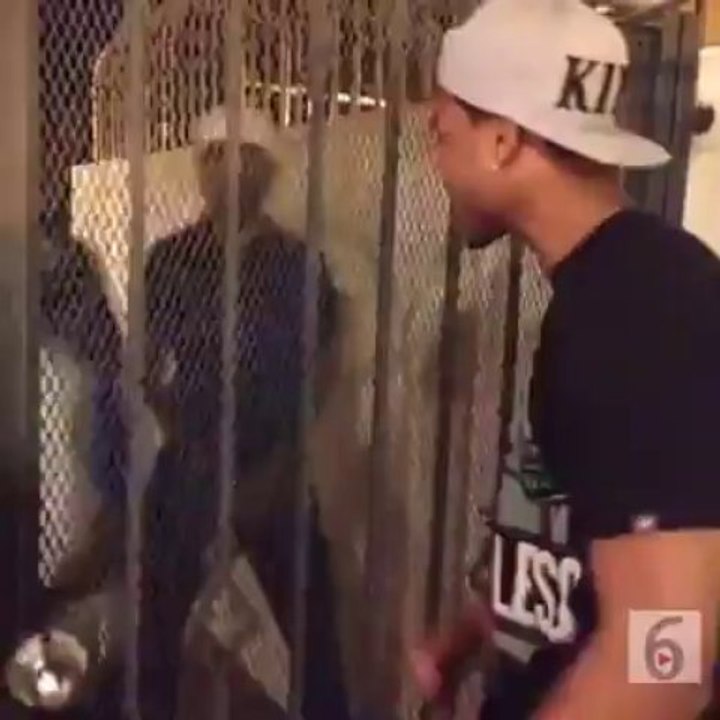 You lucky this gate holding me back!