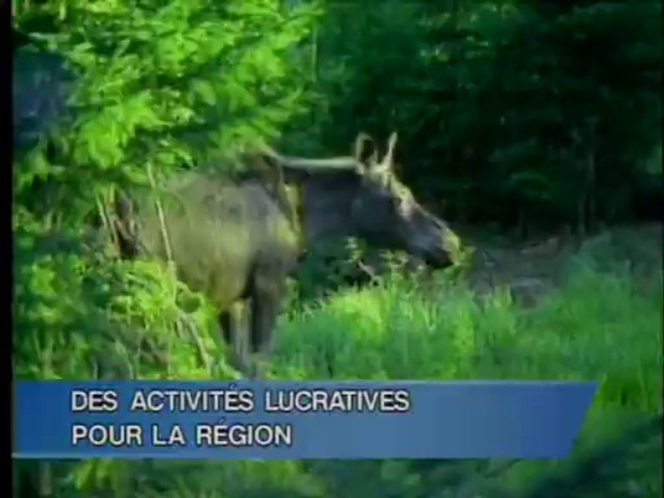 19 Novembre 2013 - Le TVA Nouvelles de 18h Abitibi-Témiscamingue