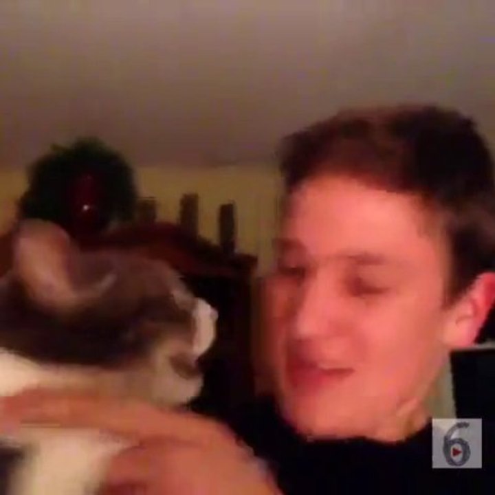 Cat Hates Me