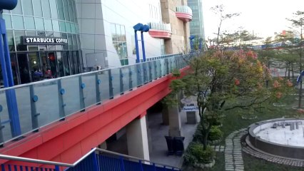 Why I DON'T Leash my Dogs