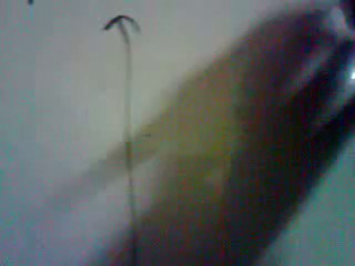 Quadratic Roots: Nature of Roots Explained 🌱