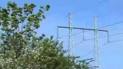 Tern's Turn-About Truly Remarkable! - YouTube3