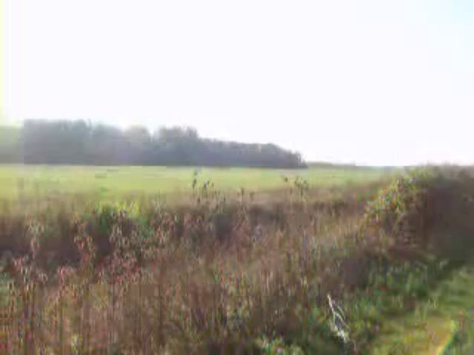 Sprecka dolina 2009