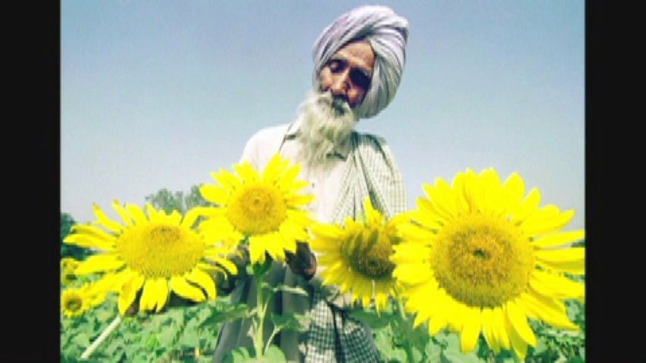 Amnésie Internationale 2 - D'un Mur l'Autre