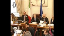 Roma - Audizioni Presidente Unicef Italia e Trans Adriatic Pipeline - Elena Gerebizza (19.11.13)