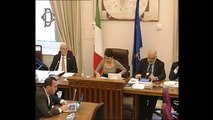 Roma - Audizioni Presidente Unicef Italia e Trans Adriatic Pipeline - Dino Borri (19.11.13)