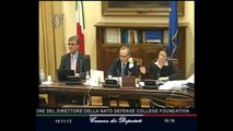 Roma - Audizione Politi, direttore Nato (19.11.13)