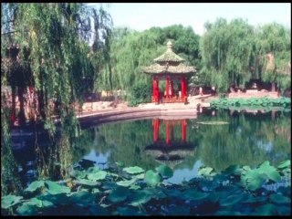 Dites "Adieu" à la cellulite