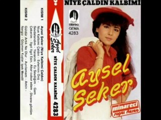 AYSEL ŞEKER EY SEVDİĞİM