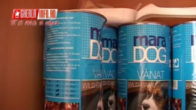 Adapost caini Gherla