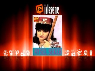 Aysel Şeker - Vay Gözünü Sevdiğimin Dünyası