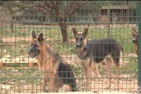 24 saat klasik müzik, yemek, barınma