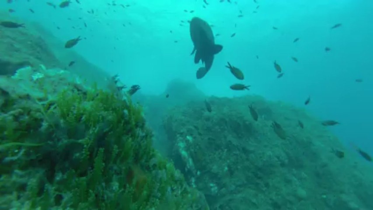 GOPR0009²