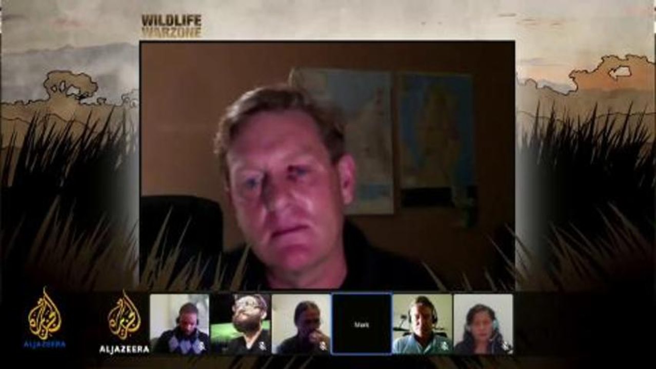 Wildlife Warzone Google Hangout