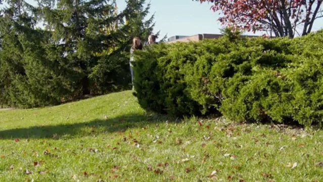 Seventy per cent of Canadian children are concerned about crime and violence, Small Voices, Big Dreams survey says