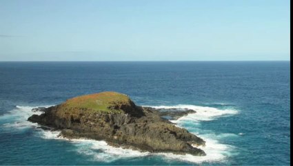 The Quest (Tim Keller)