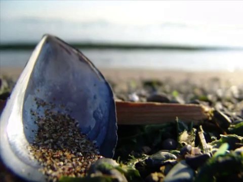 Yeni Türkü - Başka Türlü Bir Şey