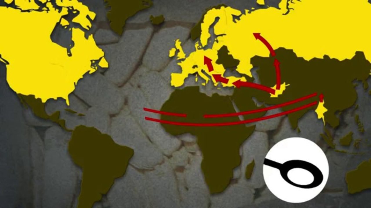 Le trafic mondial de la drogue - Maroc