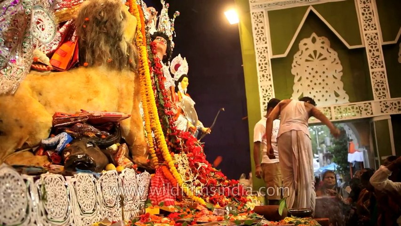 Extended hands for blessings: Durga Puja in Kolkata