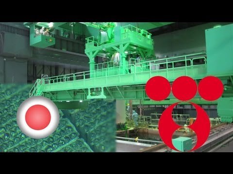 Fuel rod extraction begins at Fukushima nuclear reactor