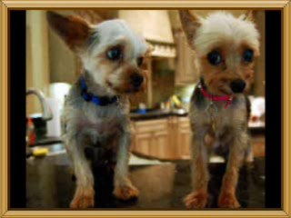 수유건마좋은곳-논현건마추천-평촌건마선택-대구건마