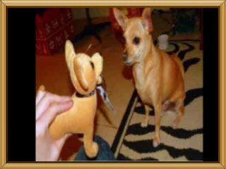 시화건마좋은곳-노원키스방추천-부산오피선택-삼성휴게텔