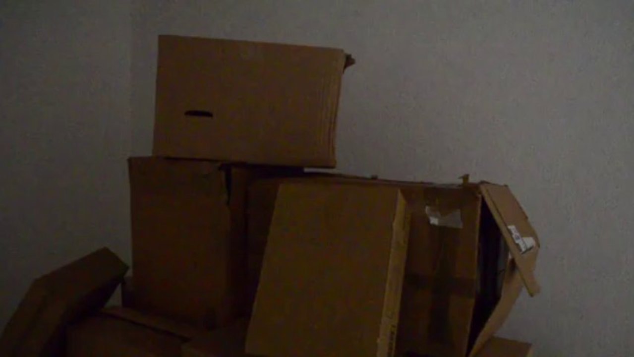 Souvenir d'enfance