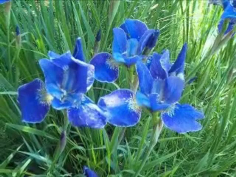 Hüner Coşkuner...Paydos.