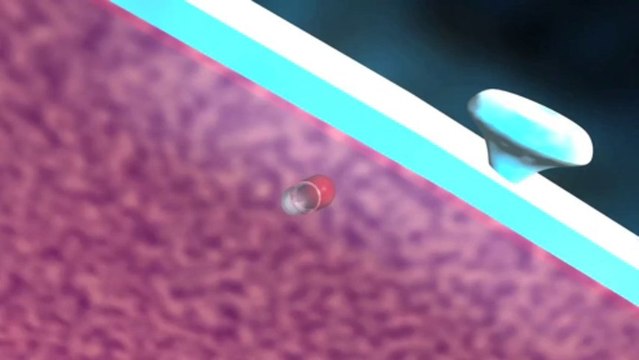 Resistencia a los antibióticos