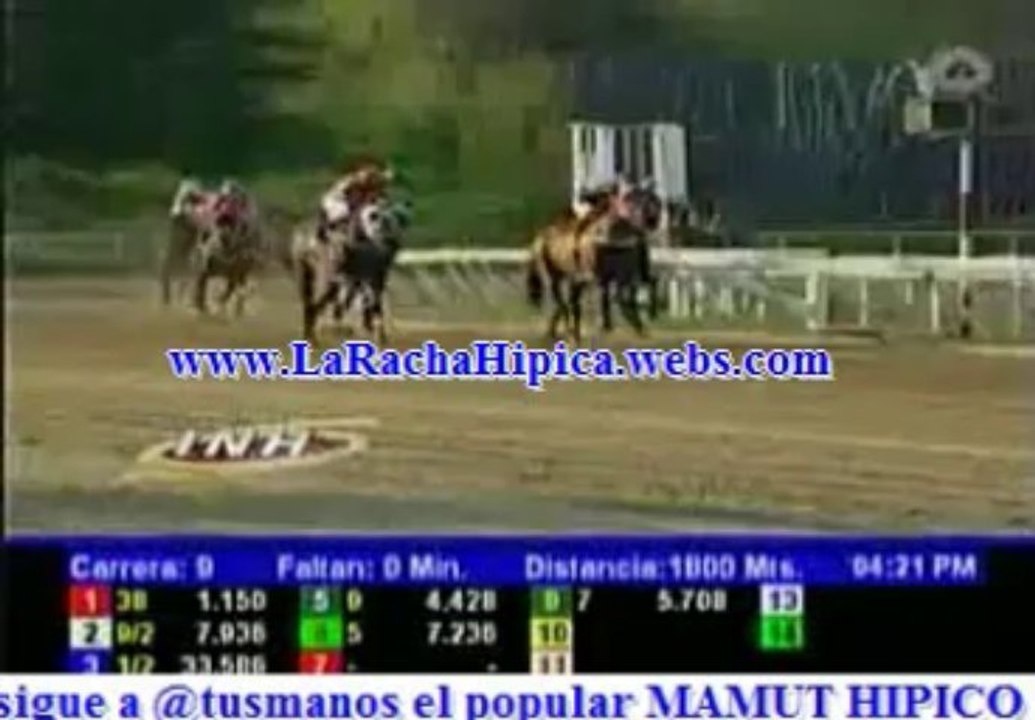 RESUMEN LA RINCONADA SABADO 16 DE NOVIEMBRE DEL 2013
