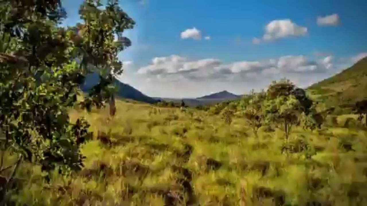 Rede Fuso - Transição de Além do Horizonte para Amor à vida - 18/11/13