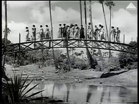 Nallathambi (1949) - Viduthalai
